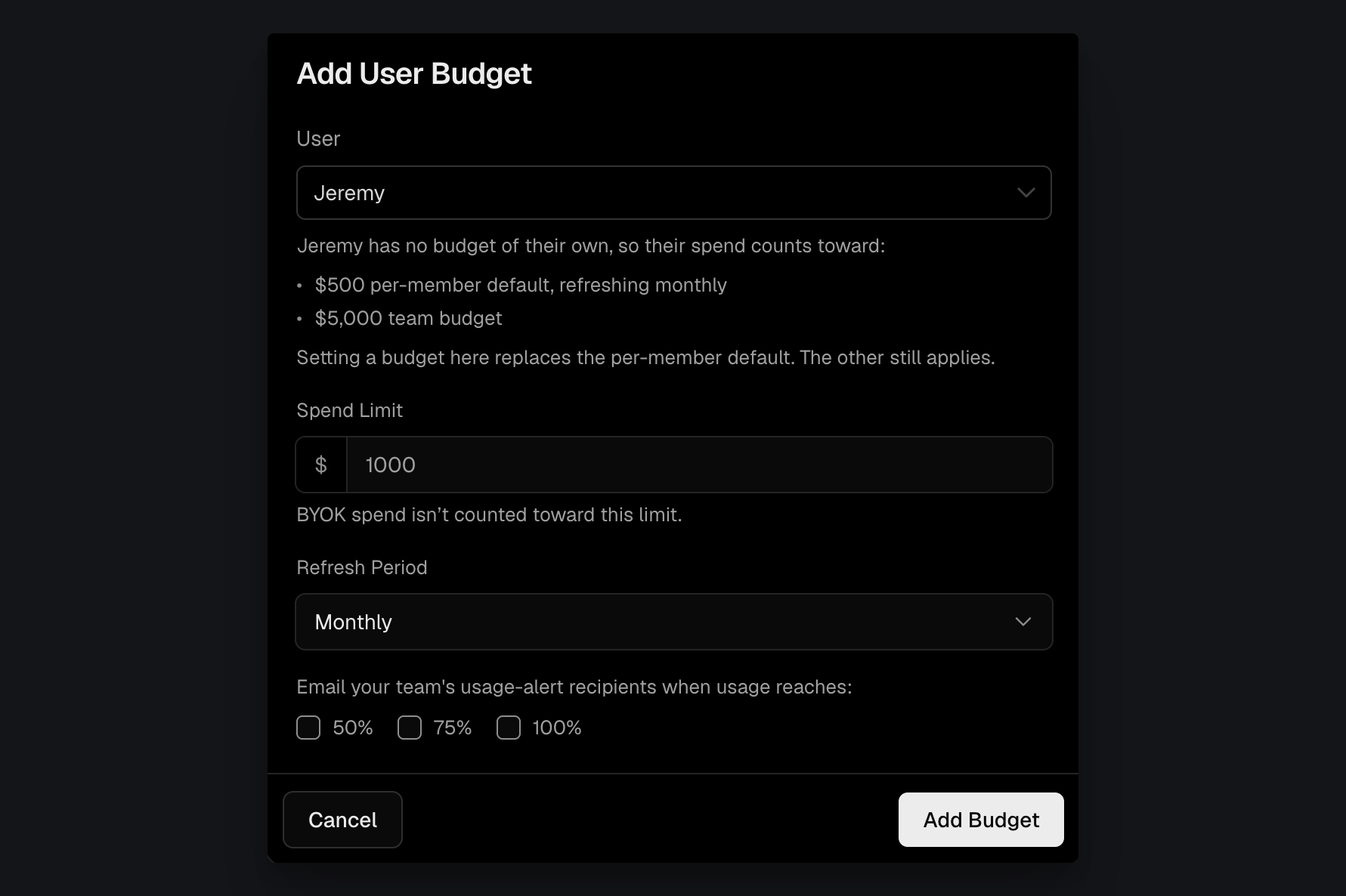 Set a custom user budget. It replaces the default user budget for that member, while the team budget still applies.