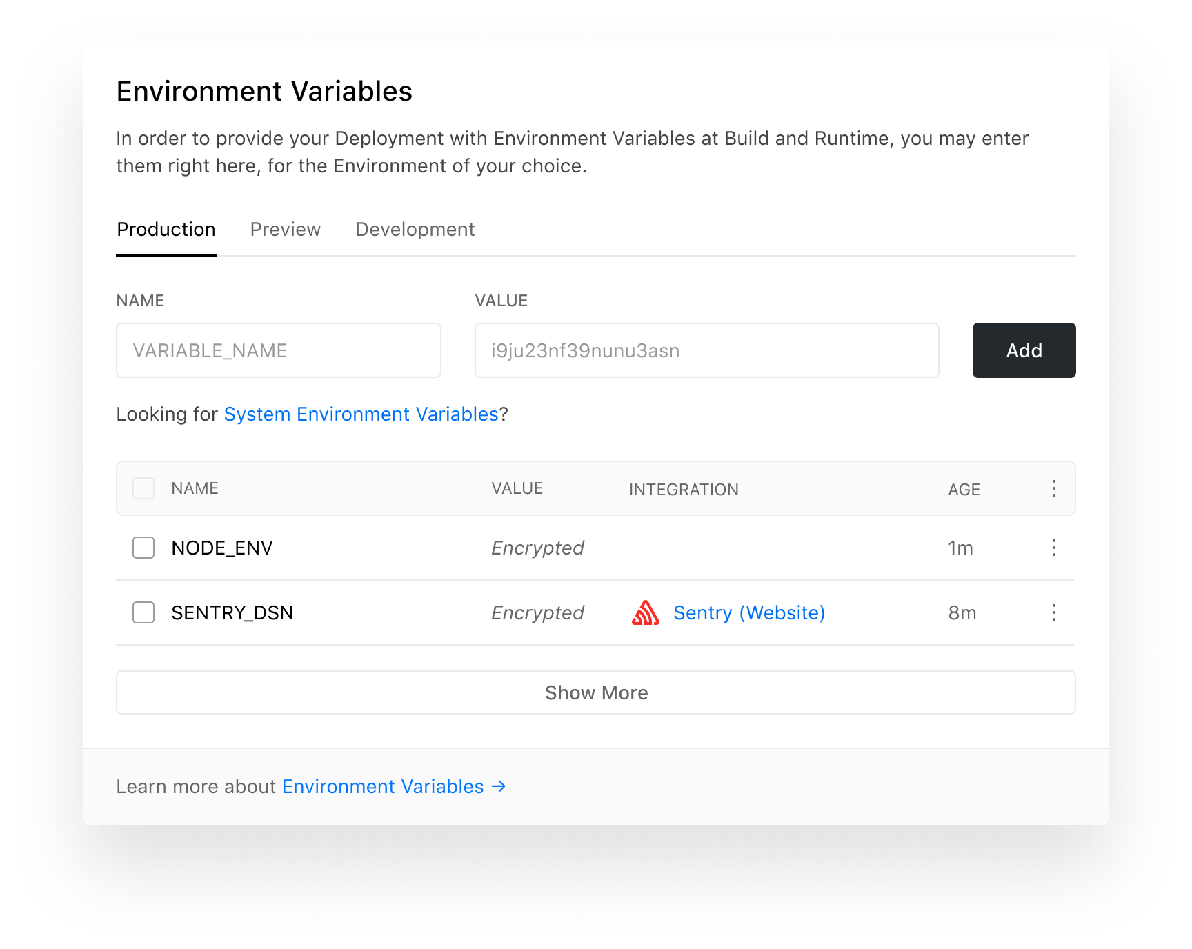 The new "Environment Variables" field in the Project Settings.